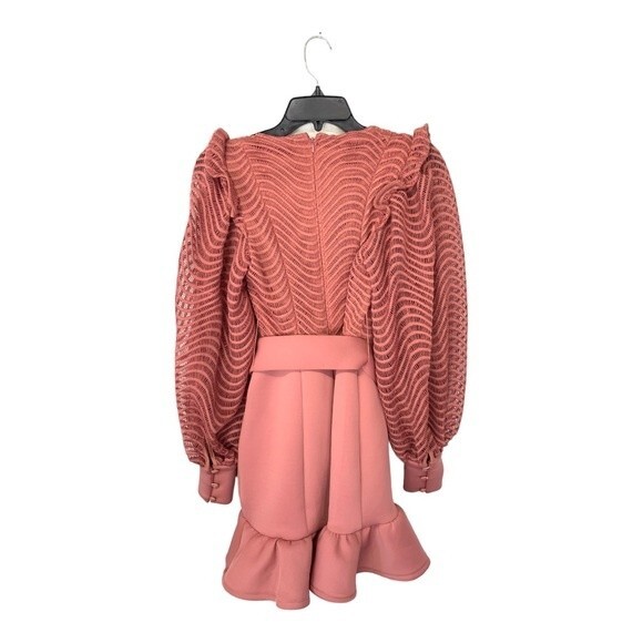 NWOT ASOS DESIGN | lace diamante belt ruffle hem mini dress in rose 2 - Picture 2 of 9